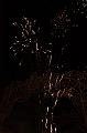 fireworks_095