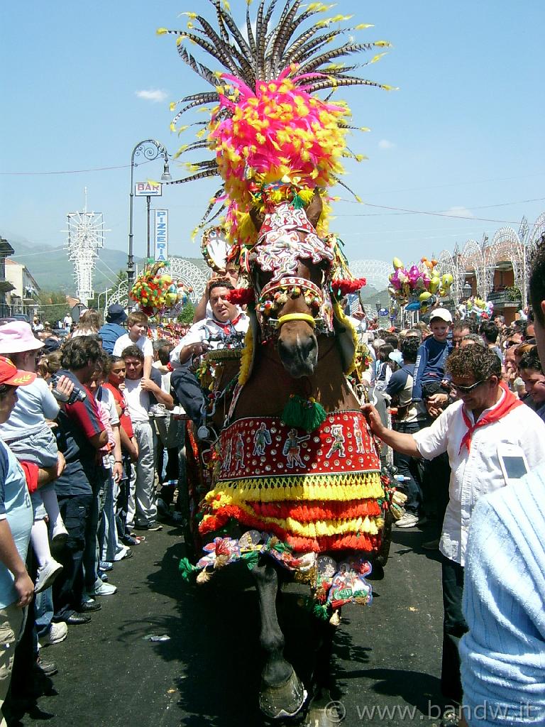 Trecastagni_049.JPG - Un carretto Siciliano che sfila durante la festa  dei Santi fratelli martiri Alfio, Filadelfo e Cirino il 10 di maggio