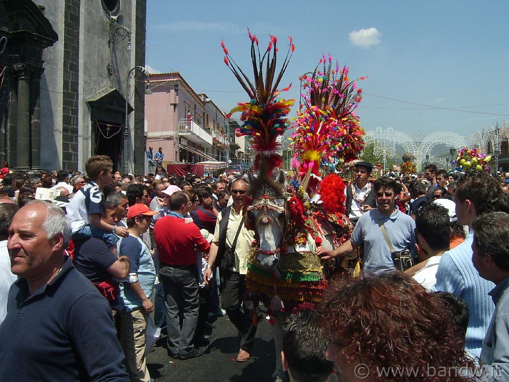 Trecastagni_051.JPG - Un carretto Siciliano che sfila durante la festa  dei Santi fratelli martiri Alfio, Filadelfo e Cirino il 10 di maggio