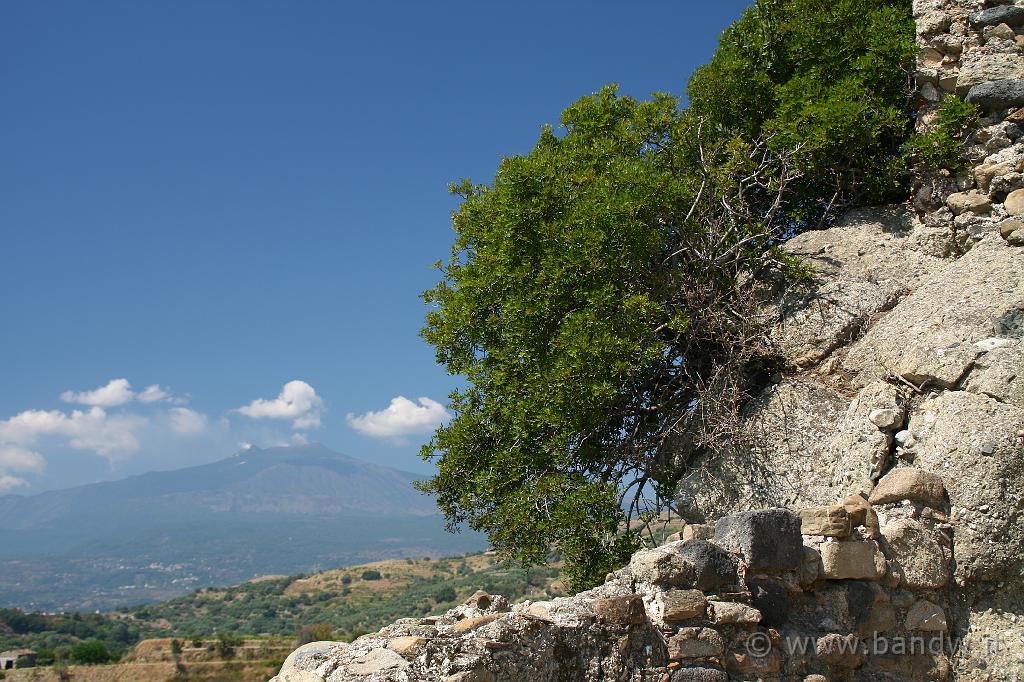 Castello di Calatabiano_061.JPG - Veduta sull'Etna