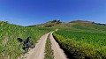 Cammino di san giacomo di sicilia (20)