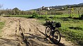 Cammino di san giacomo di sicilia (86)