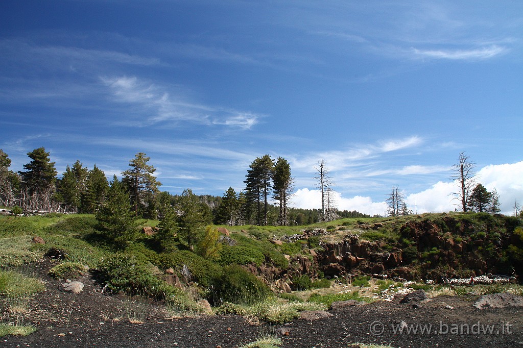 60000km_017.JPG - Etna ...... land