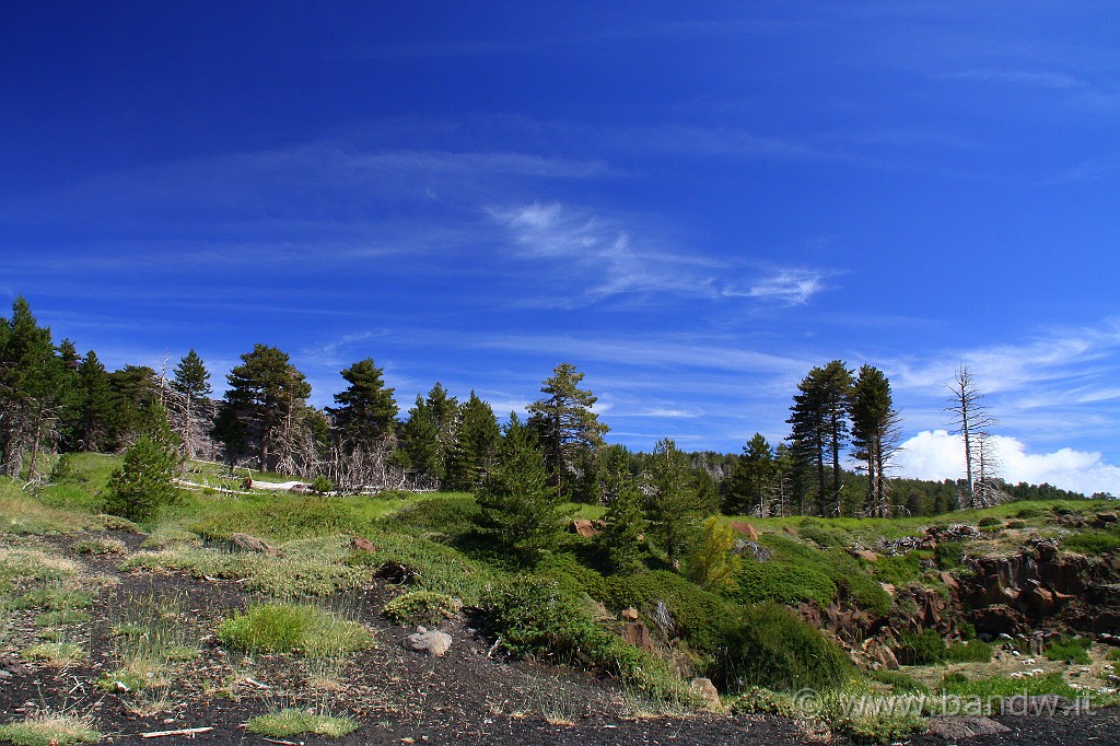 60000km_018.JPG - Etna ...... land