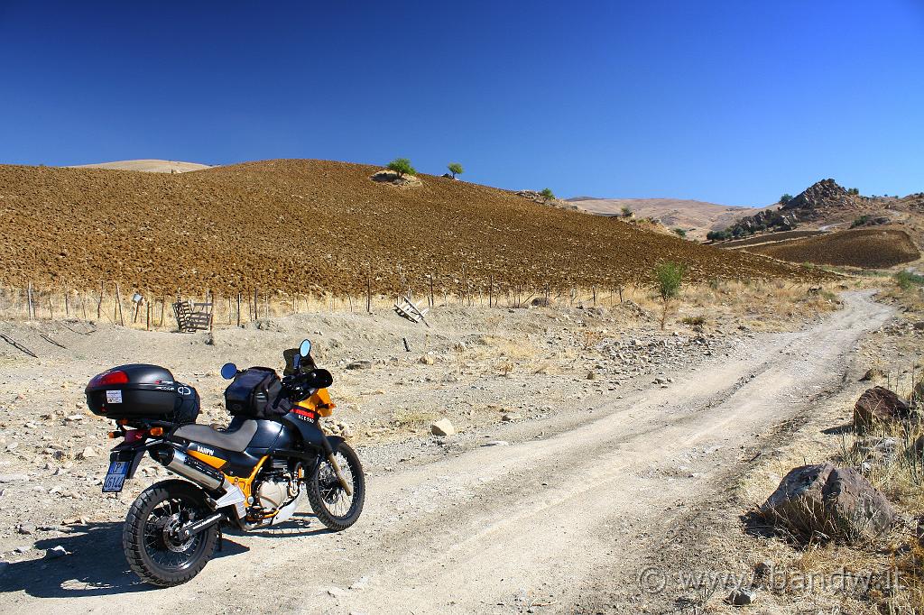 Adrano_e_Troina_021.JPG - Anche un pò di fuori strada per ravvivare la giornata