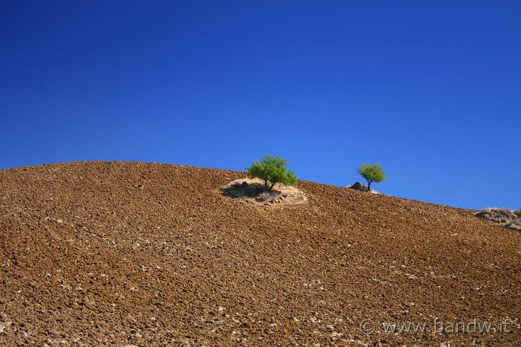 Adrano_e_Troina_022.JPG - Windows "Sicily"