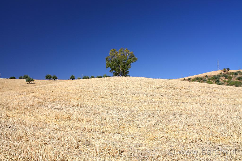 Adrano_e_Troina_026.JPG - Windows "Sicily"