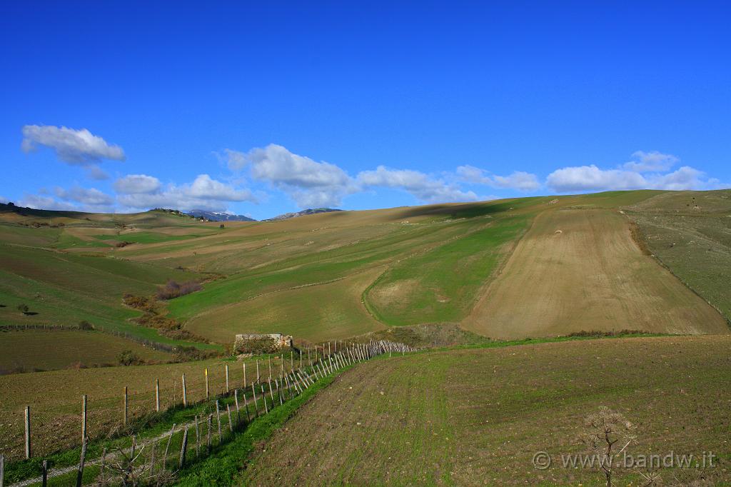 Centro_Sicilia_041.JPG - ......di Leonforte.......