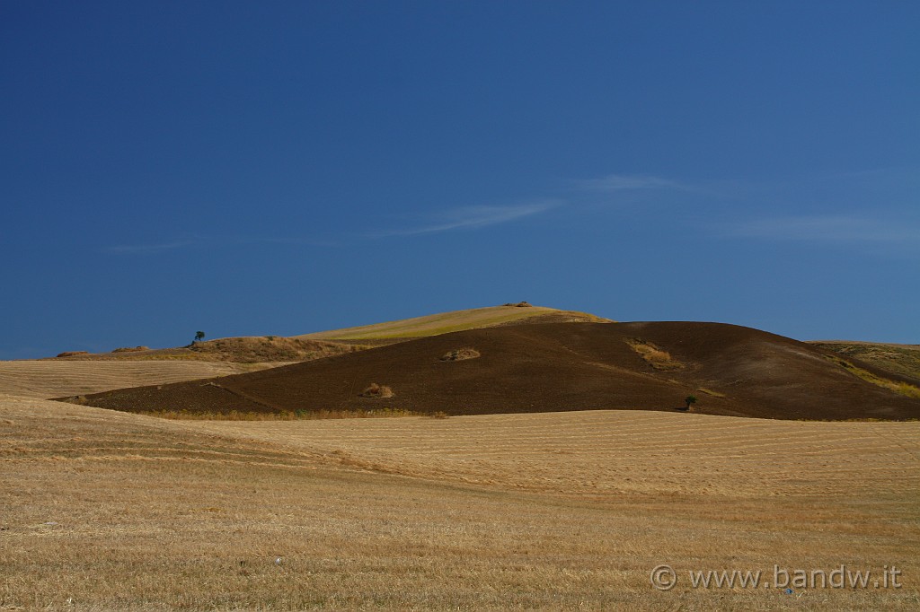 Centro_Sicilia_003.JPG - Distese immense di campi di grano appena raccolto