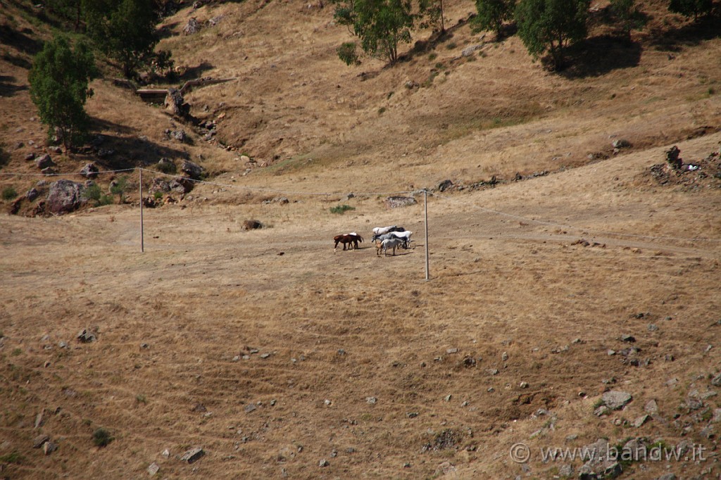 Centro_Sicilia_037.JPG - Il panorama verso sud