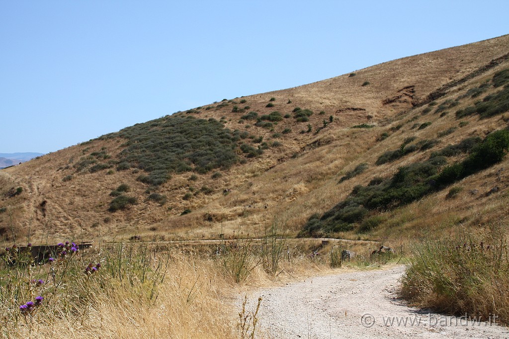 Centro_Sicilia_046.JPG - Il panorama verso Nord parte 5