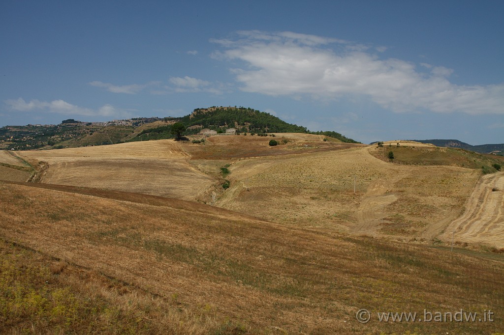 Centro_Sicilia_055.JPG - Paesaggi lungo la SS288