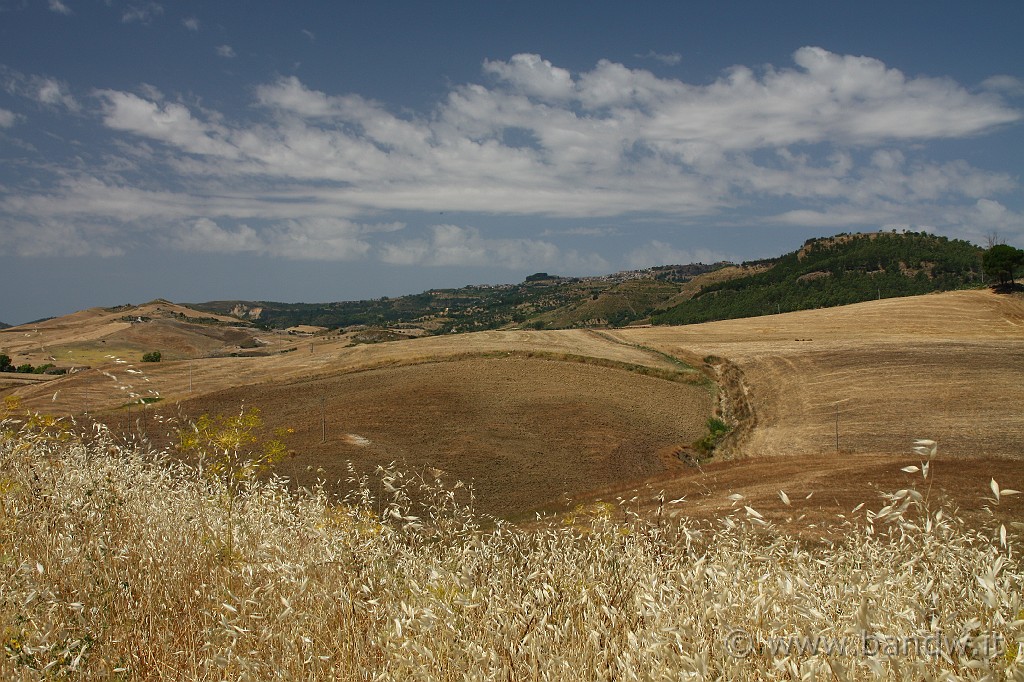 Centro_Sicilia_063.JPG - Paesaggio siciliano