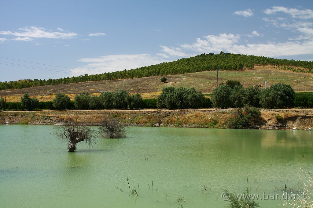 Centro_Sicilia_064.JPG - Il Lao di Ogliastro