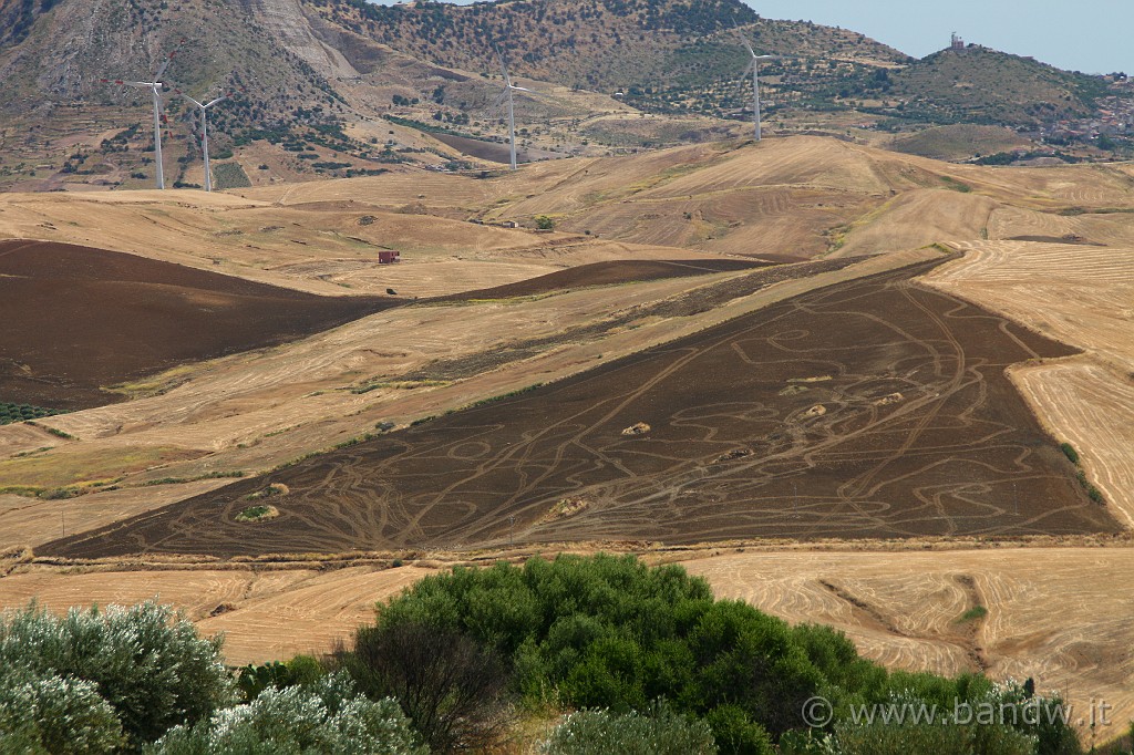 Centro_Sicilia_069.JPG - Opera degli UFO o di qualche bontempone sfaccendato??