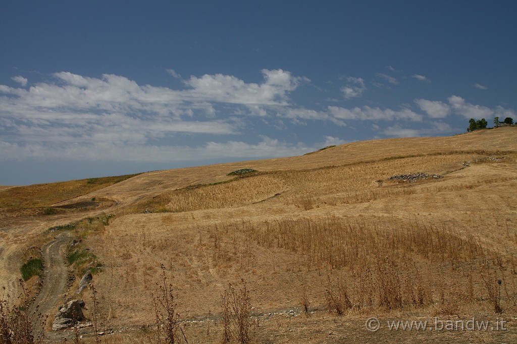 Centro_Sicilia_070.JPG - Windos Sicilia lungo la SS288