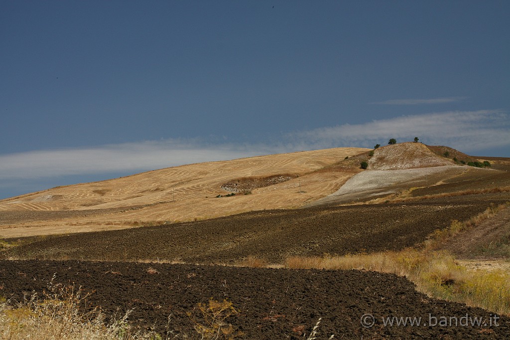 Centro_Sicilia_071.JPG - Windos Sicilia lungo la SS288