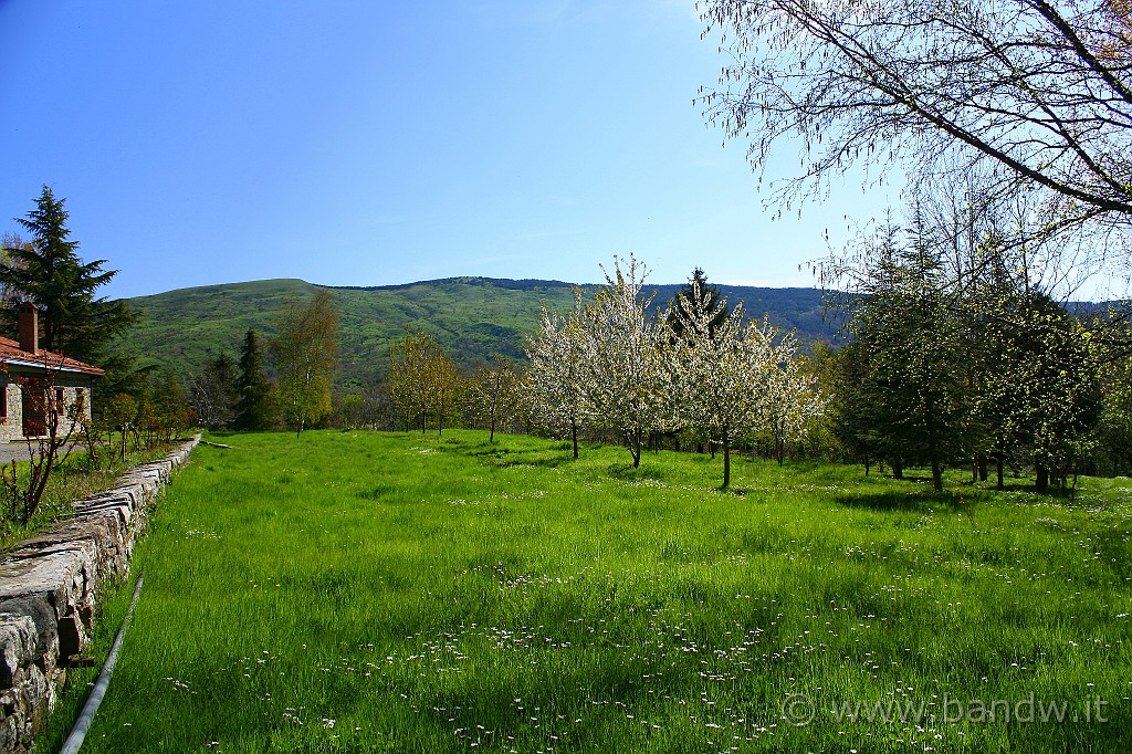 Dimensione_Natura_016.JPG