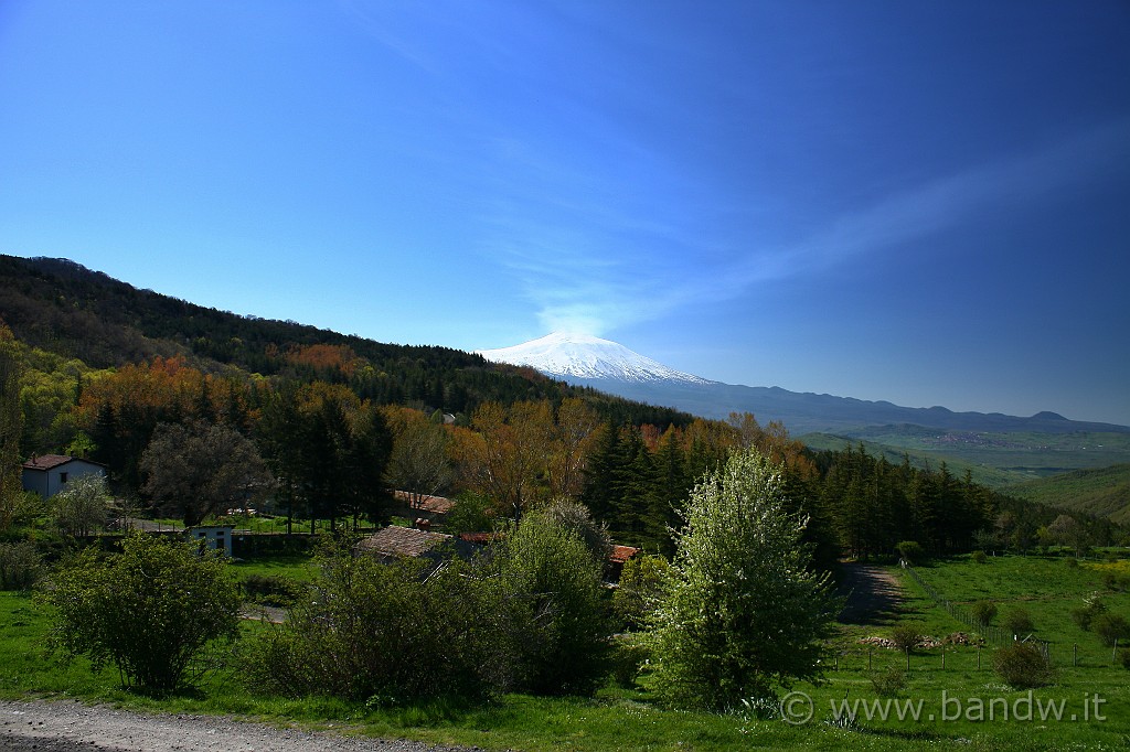 Dimensione_Natura_026.JPG