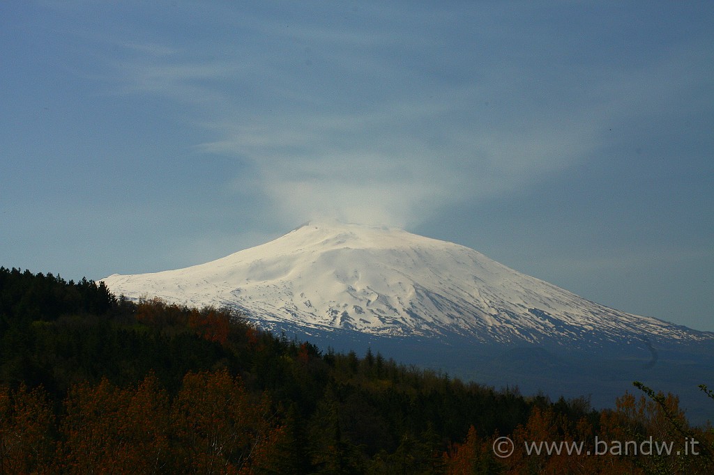 Dimensione_Natura_030.JPG