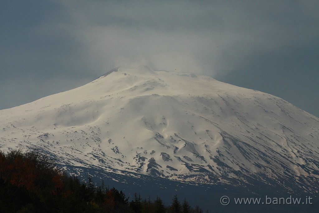 Dimensione_Natura_031.JPG