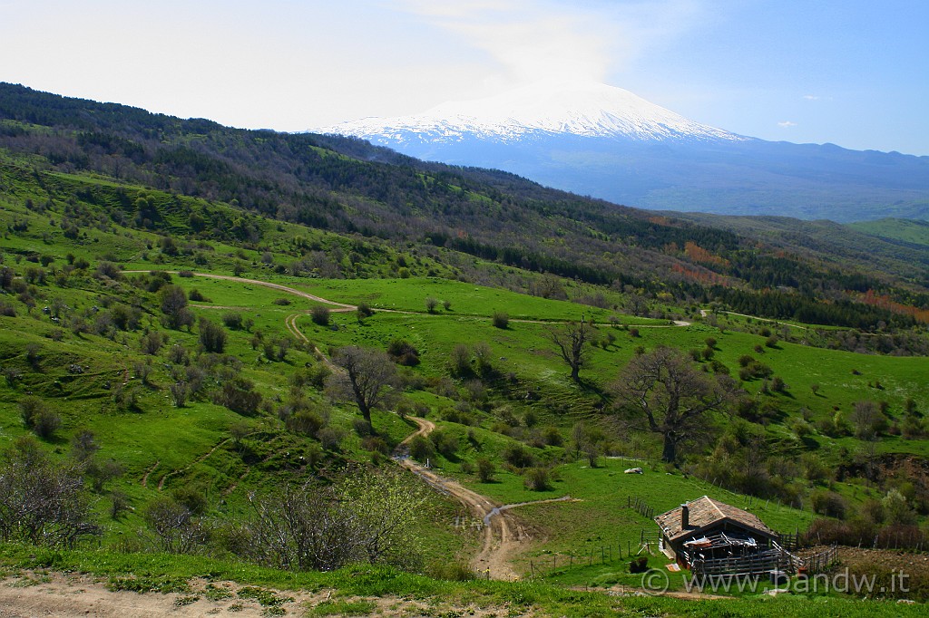 Dimensione_Natura_039.JPG