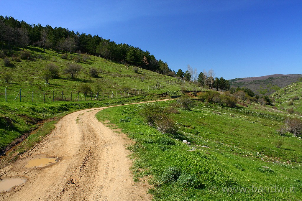 Dimensione_Natura_046.JPG