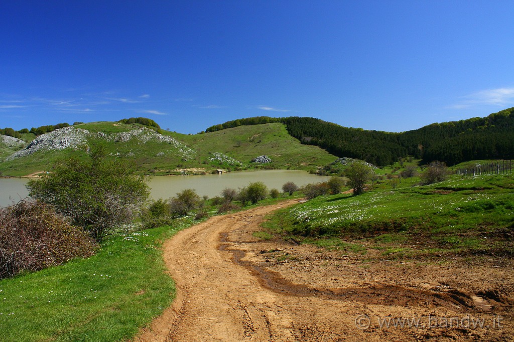 Dimensione_Natura_049.JPG