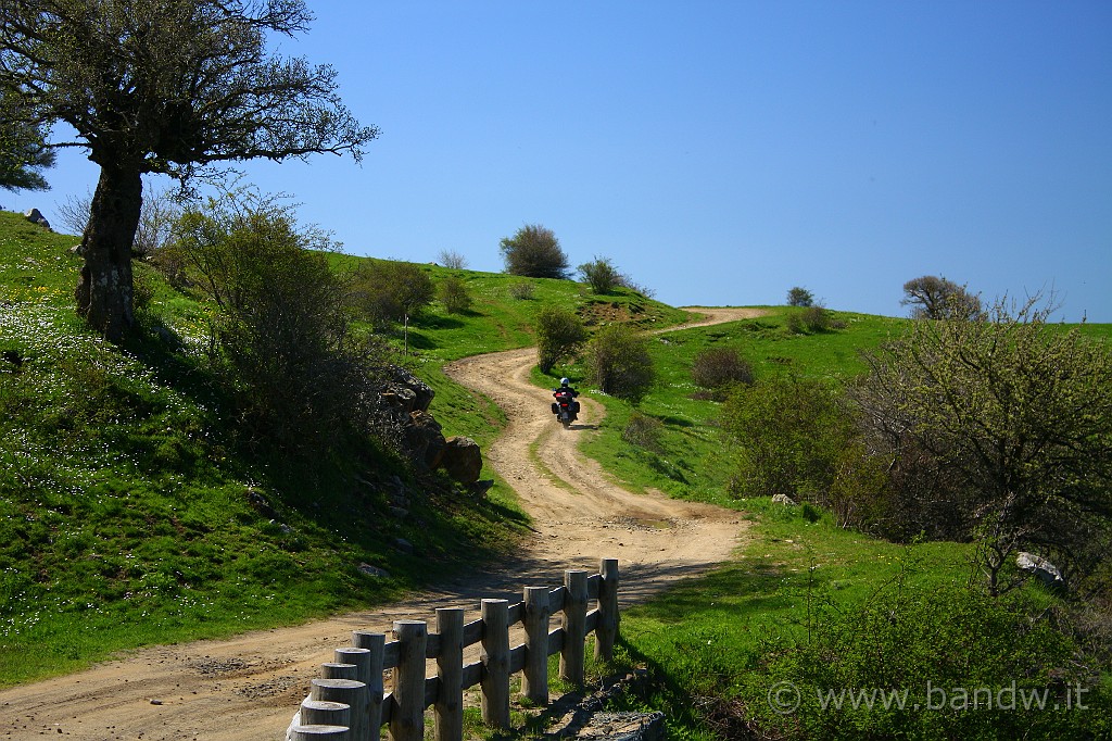 Dimensione_Natura_052.JPG