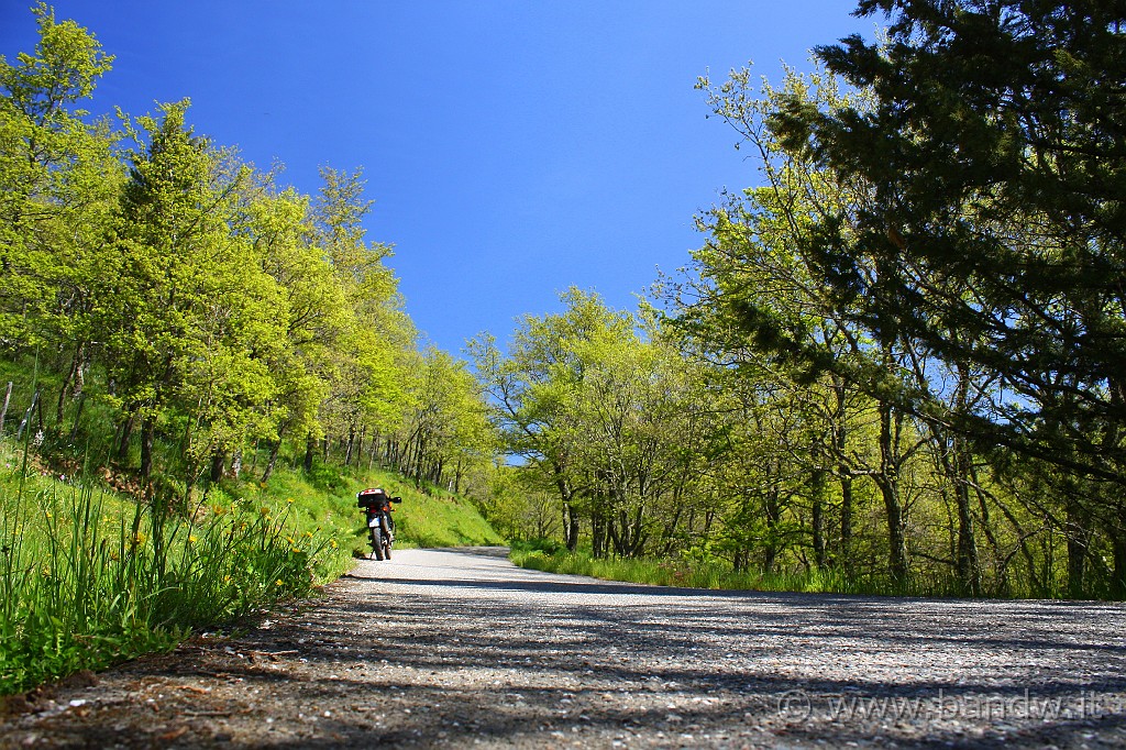 Dimensione_Natura_062.JPG