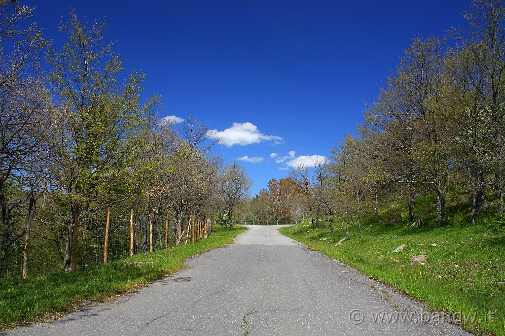 Dimensione_Natura_064.JPG