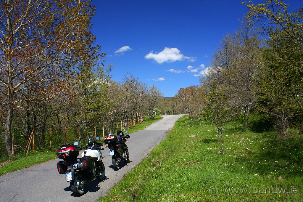 Dimensione_Natura_065.JPG