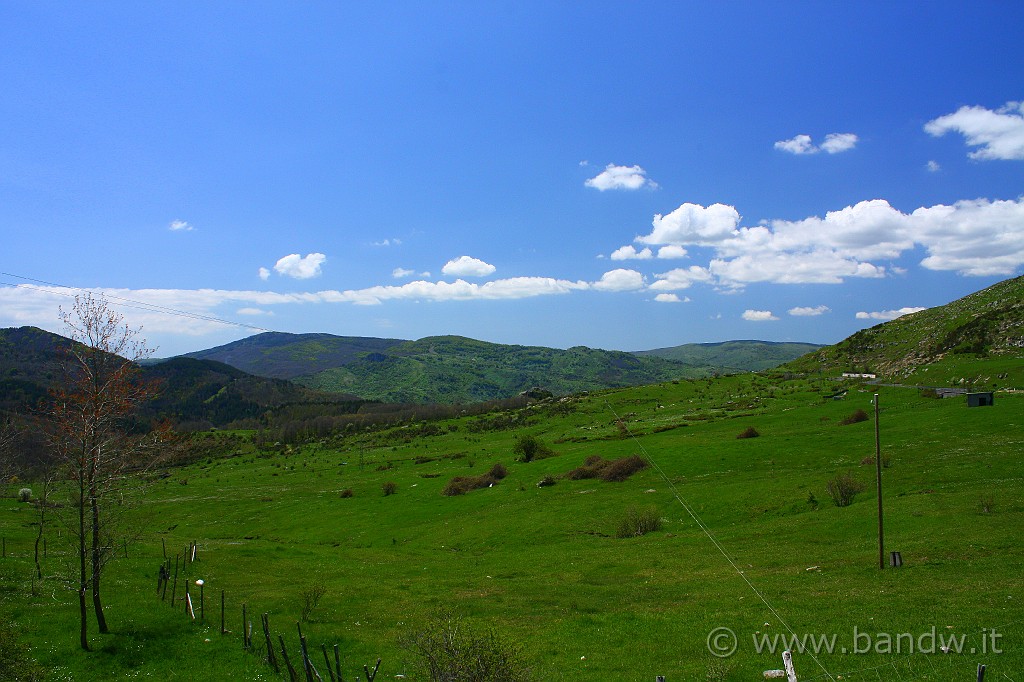 Dimensione_Natura_078.JPG