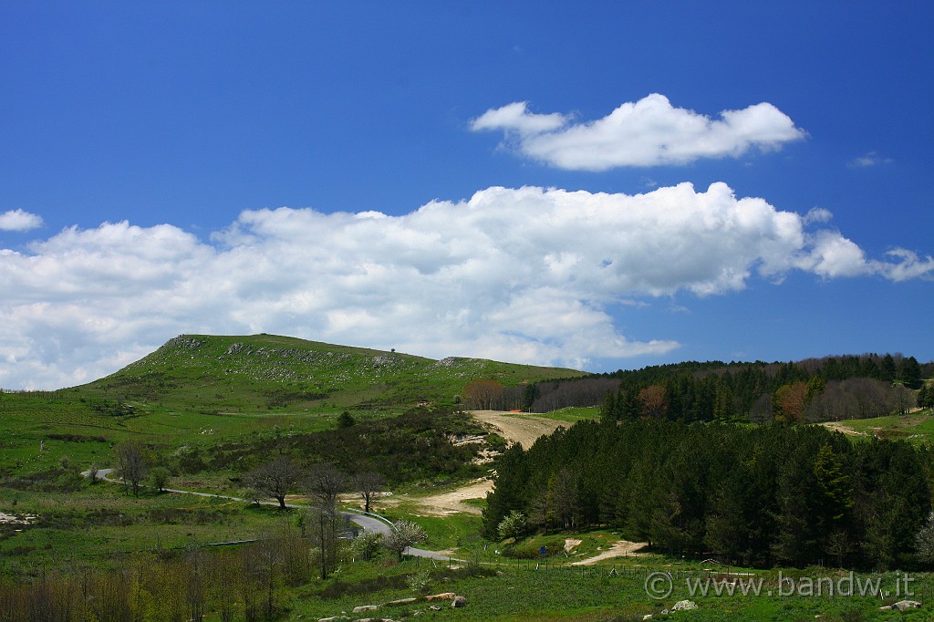 Dimensione_Natura_089.JPG