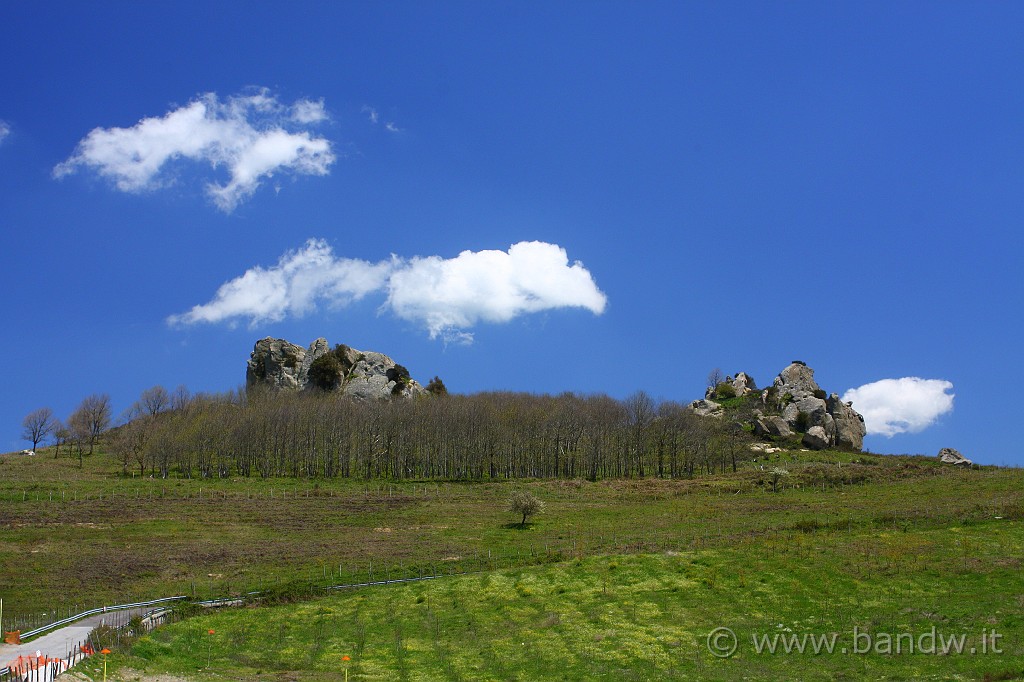 Dimensione_Natura_092.JPG