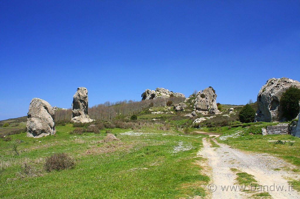 Dimensione_Natura_093.JPG