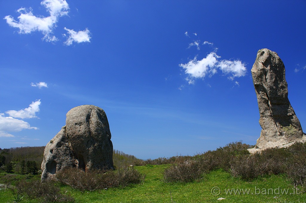 Dimensione_Natura_096.JPG