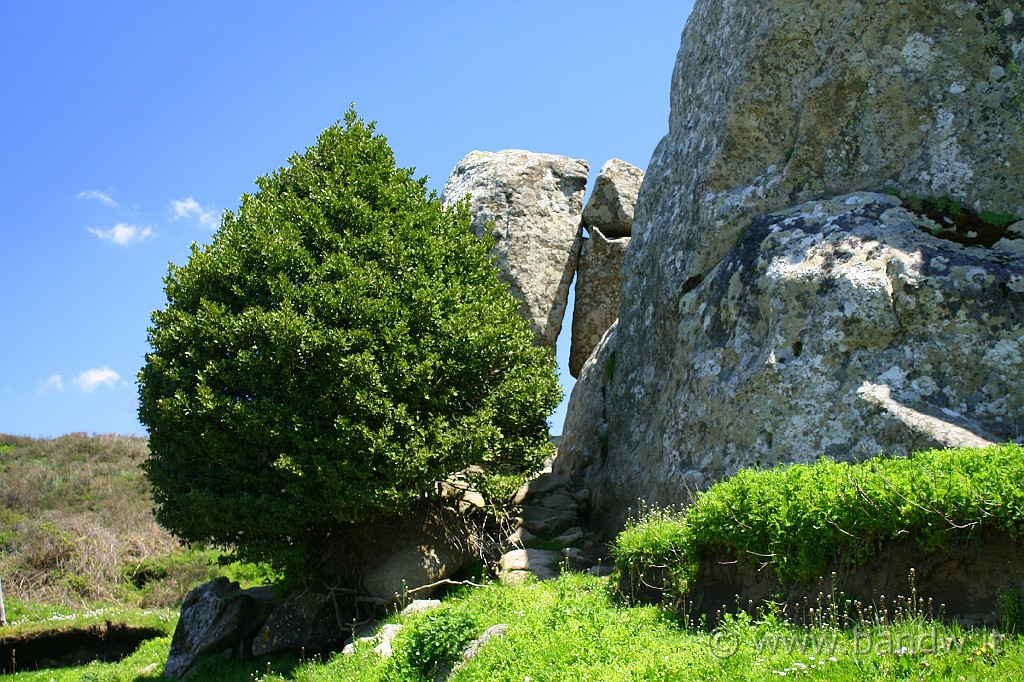 Dimensione_Natura_099.JPG