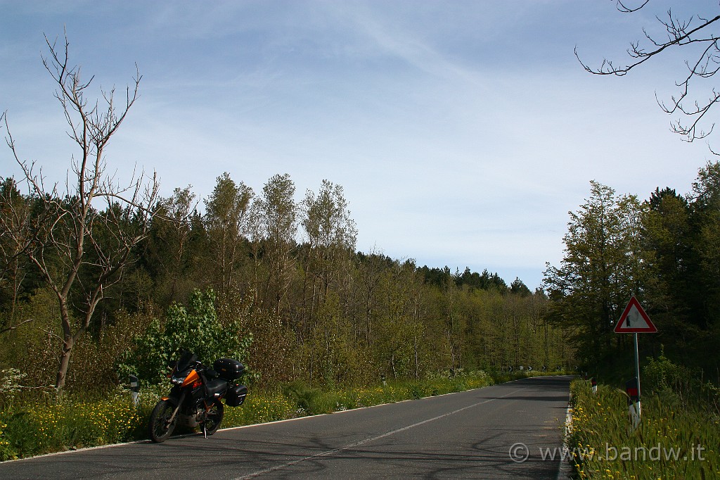 Dimensione_Natura_2_001.JPG - Prima sosta del giorno prima di arrivare a Casal Floresta