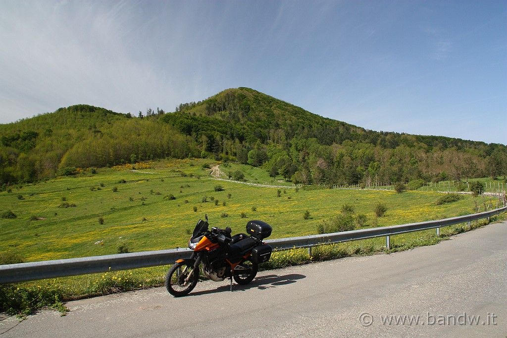 Dimensione_Natura_2_007.JPG - Dopo aver lasciato la SS116 mi imbocco sulla Dorsale dei Nebrodi sul tratto asfaltato