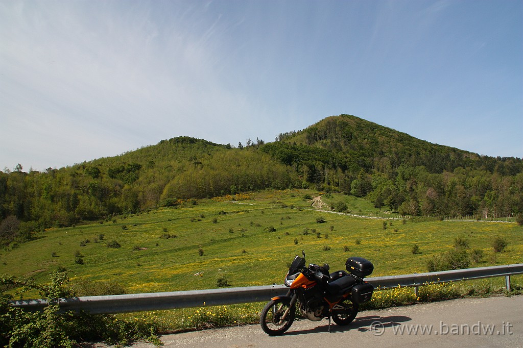 Dimensione_Natura_2_008.JPG - Dopo aver lasciato la SS116 mi imbocco sulla Dorsale dei Nebrodi sul tratto asfaltato