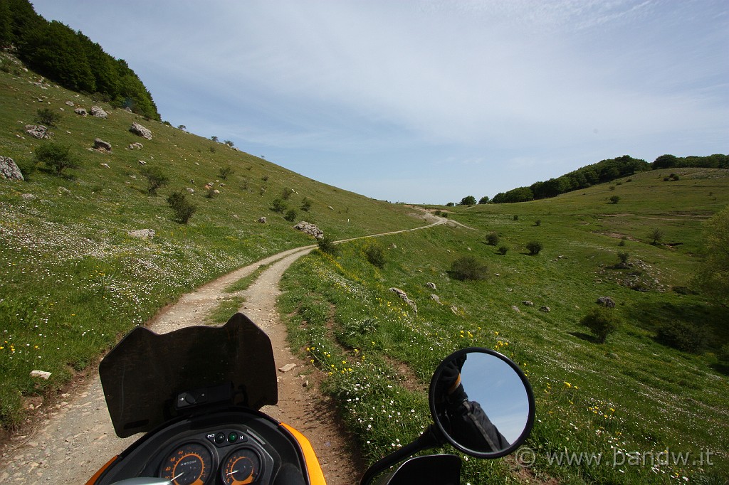 Dimensione_Natura_2_023.JPG - On the road