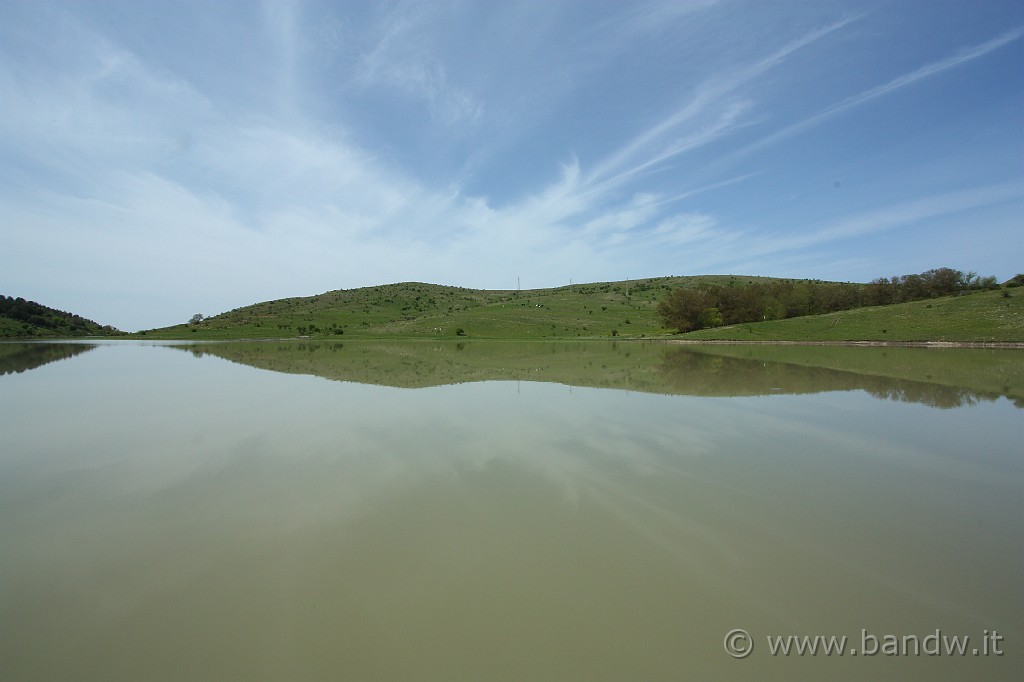 Dimensione_Natura_2_030.JPG - Caspita, dello sporco nell'obiettivo!!!! Peccato