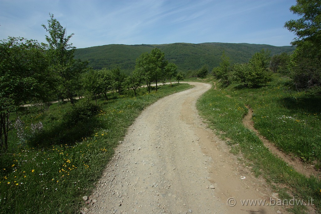 Dimensione_Natura_2_049.JPG - Si continua a scendere