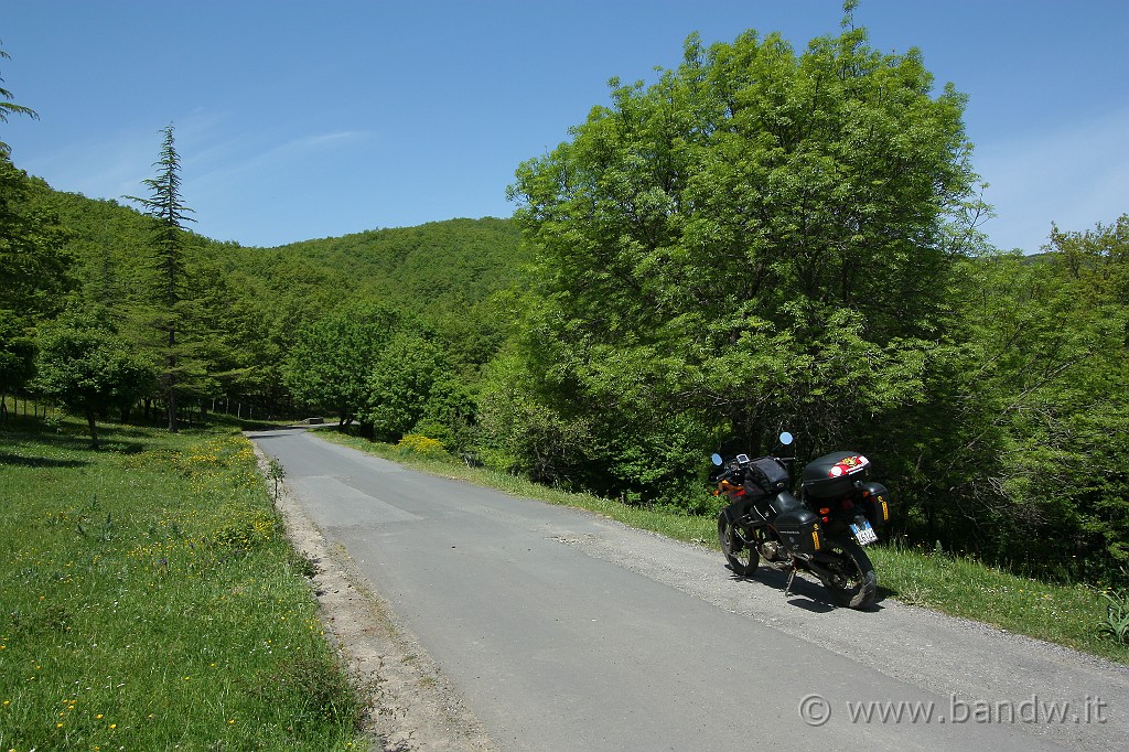 Dimensione_Natura_2_056.JPG - Landscape vicino Porticelle Soprana