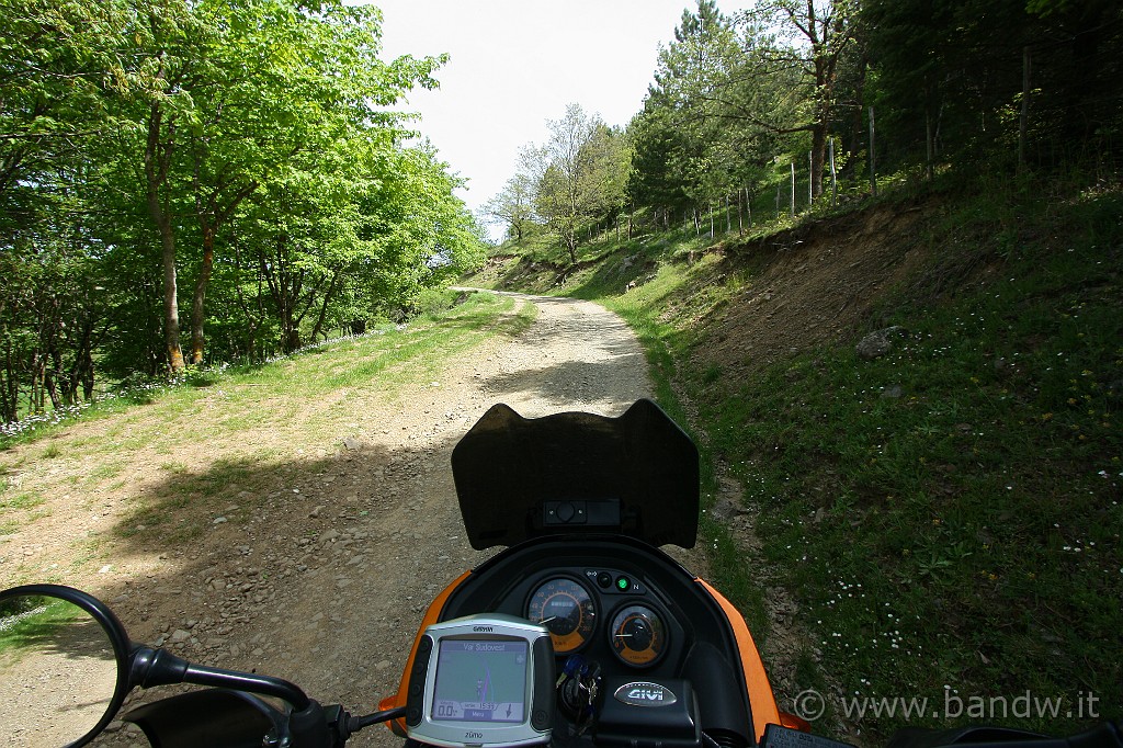 Dimensione_Natura_2_042.JPG - On the road