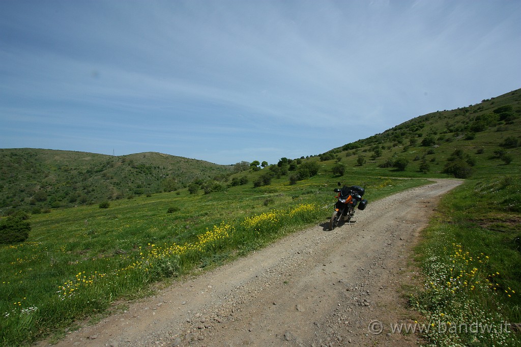 Dimensione_Natura_2_043.JPG - On the road