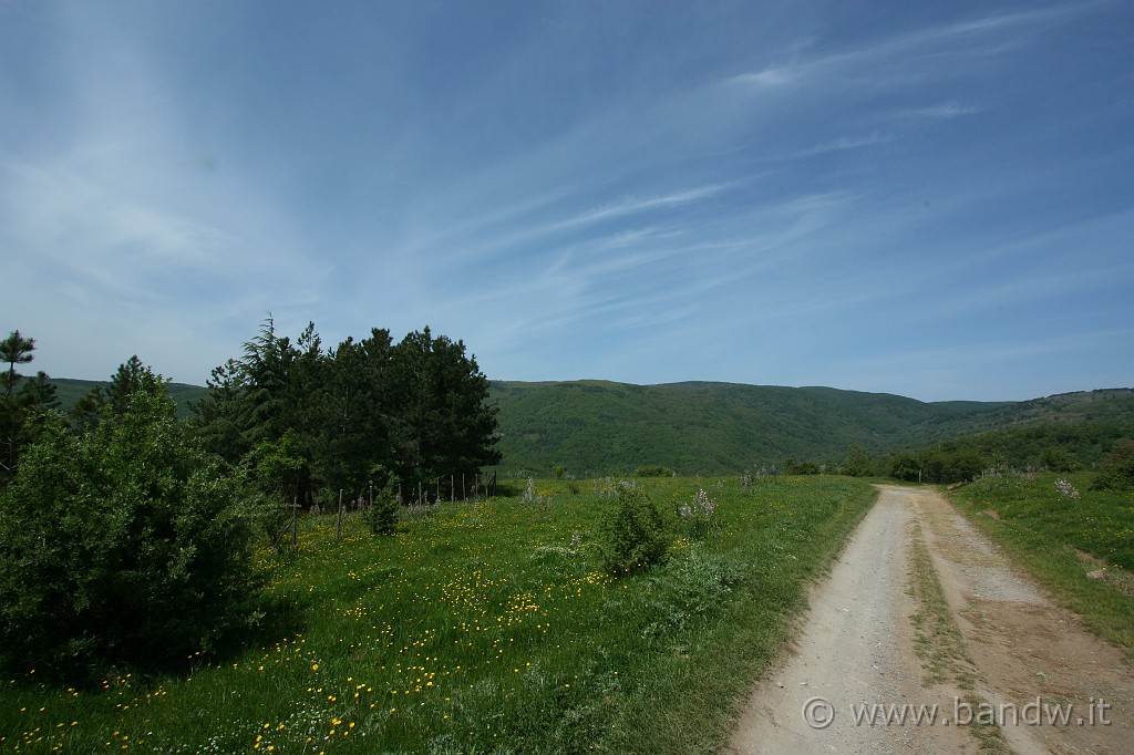 Dimensione_Natura_2_048.JPG - Si continua a scendere