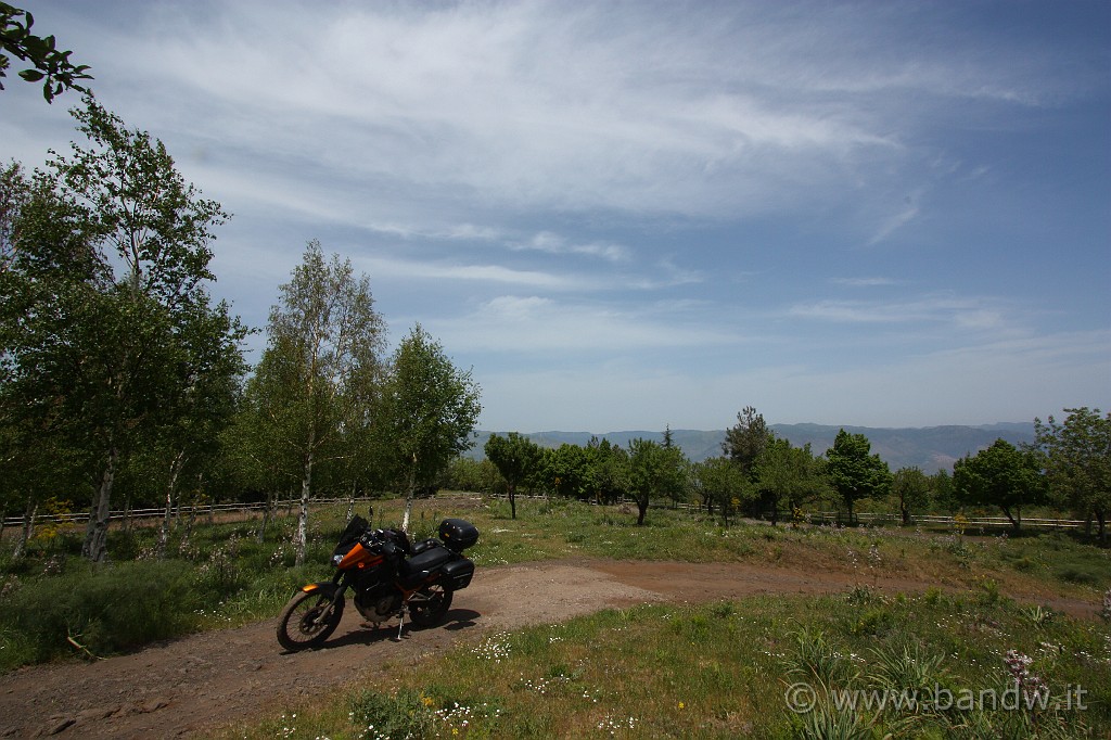 Dimensione_Natura_2_063.JPG - Qui provavo un tratto di strada da fare prossimamente il MTB