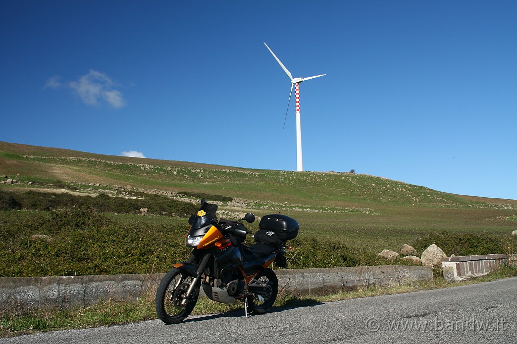 InGiroPerGliIblei_013.JPG - Lascio la SS124 e mi metto su "Contrada Terra dei Bove" infatti il nome a questa strada non è stato dato a caso, poco prima di questa foto una mandria di mucche mi ha abbondantemente ostacolato la carreggiata.